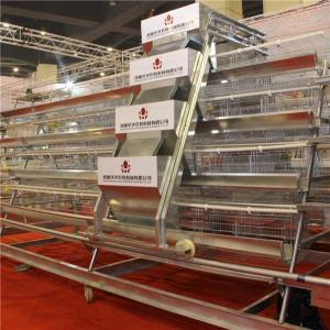 China Farm Self Feeding Chicken Feeder , Large Automatic Feeding Machine For Poultry factory