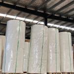 Single And Double Cupstock Paper Cup Roll 100% Virgin Wood Pulp