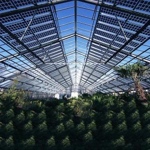 China Roof Greenhouse Solar System Photovoltaic Structure Q235 Q345 1.4KN/M2 Max Snow Load factory