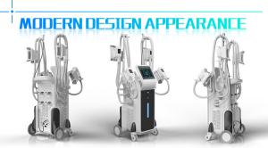 China 2019 lastest Nubway CE / FDA approved beauty machine slimming fat freezing cryolipolysis machine factory