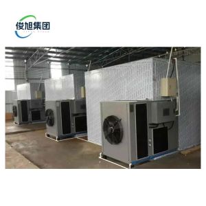 Temperature Air Drying Machines for Customized Temperature Food Processing