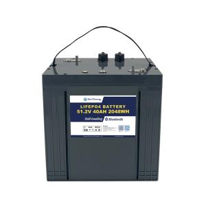China Lead Acid Replacement Golf Cart Lithium Battery with communication function 48V40AH factory