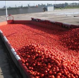 China Tomato Paste Production Line For 100 Tones Per Day Processing Machine factory
