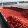 Buy cheap Tomato Paste Production Line For 300 Tones A Day Processing Machine from wholesalers