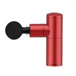 Zinc Die Casting Precision Injection Molding Spray Painting Beauty Instrument