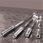 Hot Sale Strength Training Gym Equipment Power Weightlifting 1.2m Curl Barbell