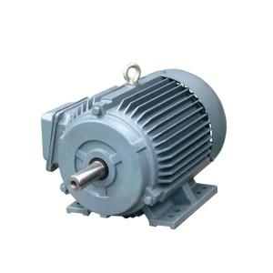 China 250kw 22kw 2.2 Kw 4 Pole Motor 60 Hz factory
