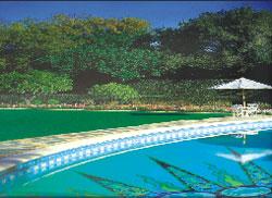 Natural - Looking 4000 Dtex 4 Gauge Artificial Grass Landscape for Sports
