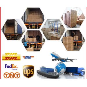 Lcd Screen Single Beam Instrument Visible Single Chip Microcomputer Control