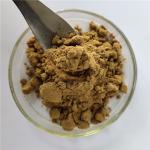 Immune Anti-Fatigue Roughhaired Holly Root Extract