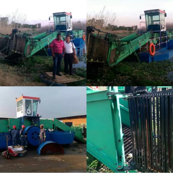 Compact Diesel Engine Mini Harvester for KEDA Automatic River Cleaning Water Weed Harvester Pond Weed Collector Robot Boat