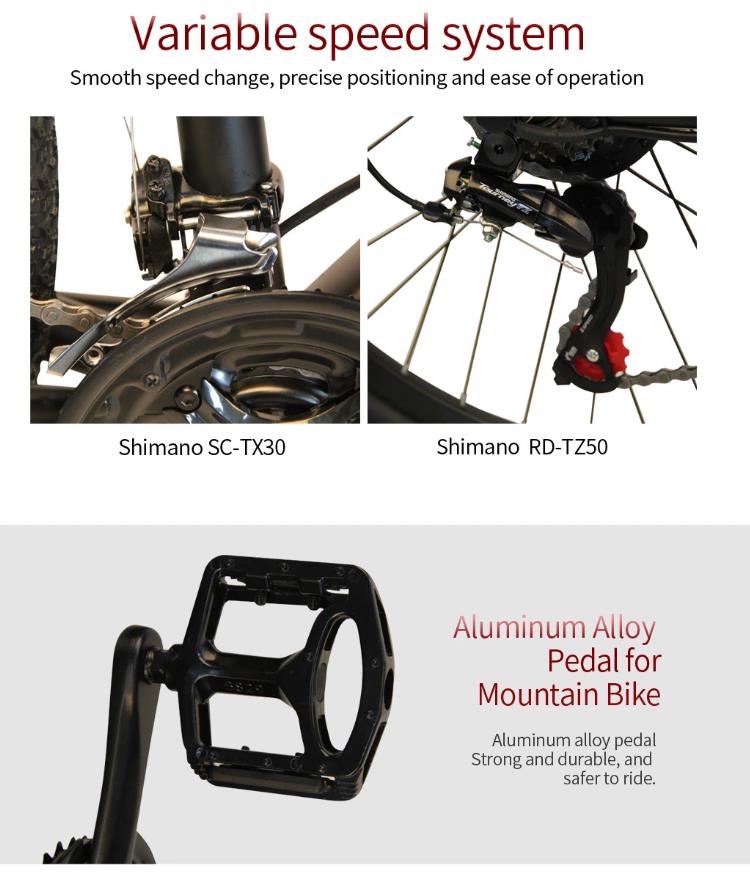 21 Speed 350W Portable Electric Bike Alloy Frame Brushless Motor
