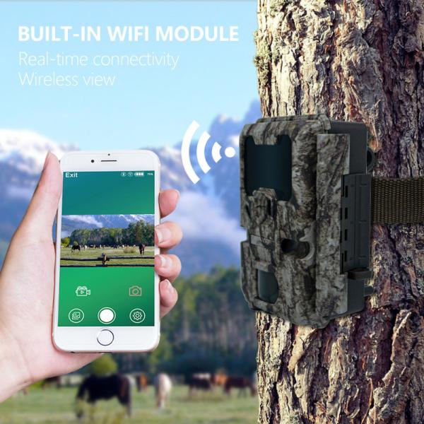 Trail Hunting Camera 20MP 1080P Wildlife Camera Waterproof IP67 Game&trial