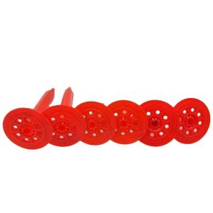 China New Insulated Shooting Insulation Board Nails Plastic Wall Insulation Framing Nails factory