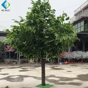China Home Decoration Fake Mango Tree 3m Height Customized Design factory