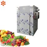380V Voltage Cashew Nut Processing Machine Industrial Food Dehydrator 5m2