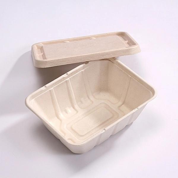 China Disposable Takeaway Sugarcane Bagasse Box Disposable Food Containers With Lids factory