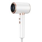 White 2000W Negative Ion Blue Light Revair Professional Salon Fast Drying Hair