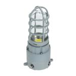 Explosion Proof Light 10W 20W 30W 40W 5 Years Warranty Light Weight Explosion