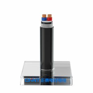 China IEC60502-1 Fire Resistant 0.6/1kV Two Core Armoured Power Cable factory