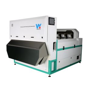 High Accuracy Intelligent WYB4 Belt Garlic Color Sorter Machine with Wifi Remote