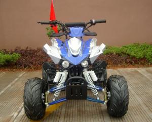 China Front / Rear Disc Brake Four Wheelers For Adults , 110cc Four Wheeler Electric Start factory