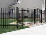 House Gates Design Garden Black Iron Fence Panels , Outdoor Metal Fence