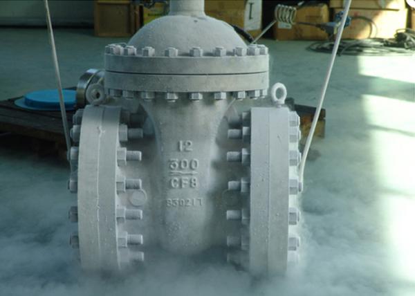 Class 150 - 1500 Cryogenic Control Valve Full Stellite Overlay Seat Sealing