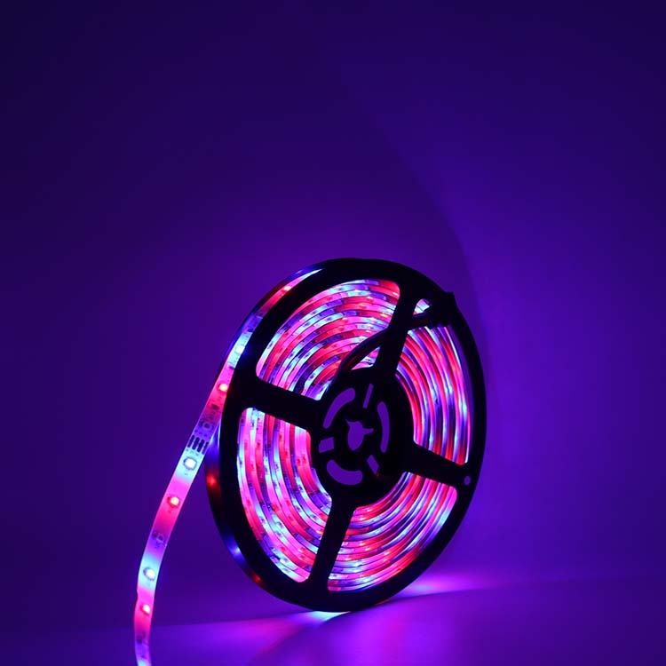 Remote Contol Dreamcolor LED Strip Lights Smd 2835 Ws2812 2811
