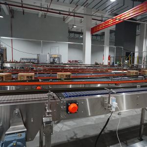 30kw Fully Automatic Wrap Around Case Packer Cartoning Machine with 45box/Minute