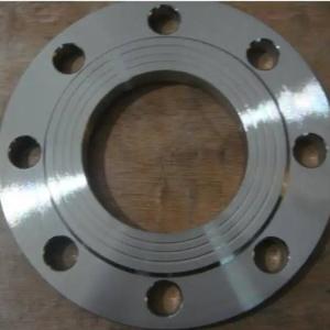 China ANSI Standard Forged Product Carbon Flanges For Food Processing Industry factory