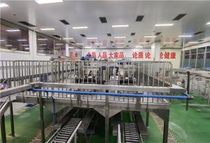 China 304 Stainless Steel Tomato Processing Line PP Container Packaging factory