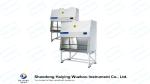 Interlock Class II A2 Biosafety Cabinets Stainless Steel
