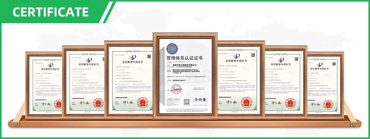 3.3m Height Metal Frame Greenhouse 300sqm Customization For Strawberry