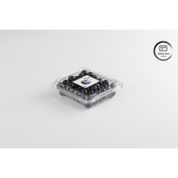 125g RPET Blueberry Clamshell Containers Transparent Fruit Packaging Boxes