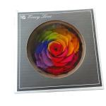 Hot selling preserved natural Roses in Round Box for Christmas gift Long Lasting