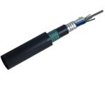 Multimode G652D Armored 48 Core Fiber Optic Cable GYTA53