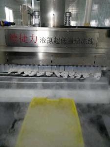China Ultra Low Lab Liquid Nitrogen Tunnel Freezer Belt 1800KG/H 2100KG/H Minus 120C factory