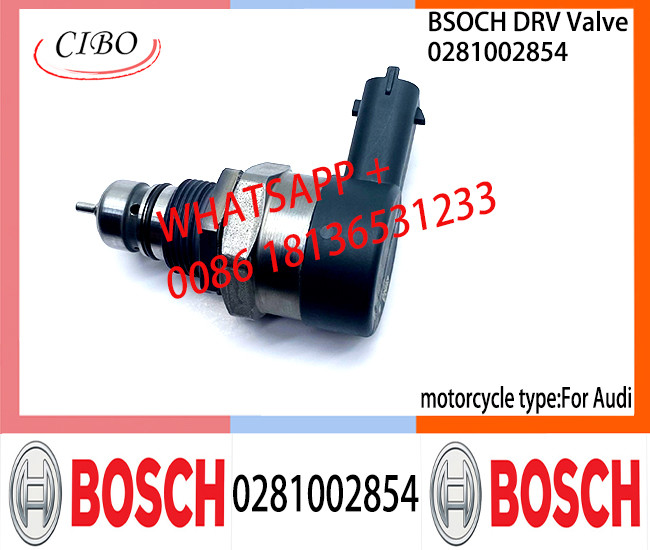 BOSCH DRV Valve 0281002854 Control Valve 0281002854 for AUDI