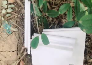 China Lightweight White Rigid PVC Foam Board Moisture Resistant For Furniture Cabinet factory