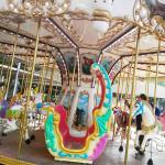 Funny Horse Carousel Ride / Kids Carousel Ride CE ISO Certification