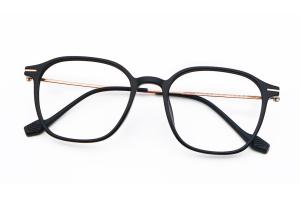 China Adjustable Glasses TR Frames Beta Titanium Ultra Lightweight ZTO 1009 factory