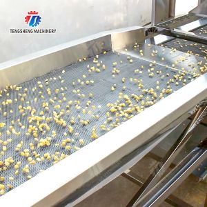 Fruit and Vegetable Draining Machine Fruit Vegetable Onions Herbs Saiko