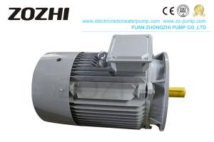 China Cast Iron Asynchronous Three Phase Electric Motor IE3-801-2 0.75KW For General Driving factory