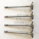 Inlet Valve And Exhaust Valve 04903005 04900685 0490 3005 0490 0685 4903005 For