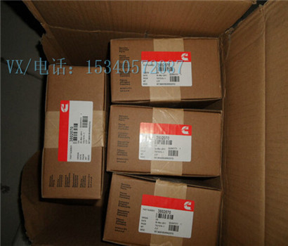 apply to 3019198 BEARING,MAIN (STD)