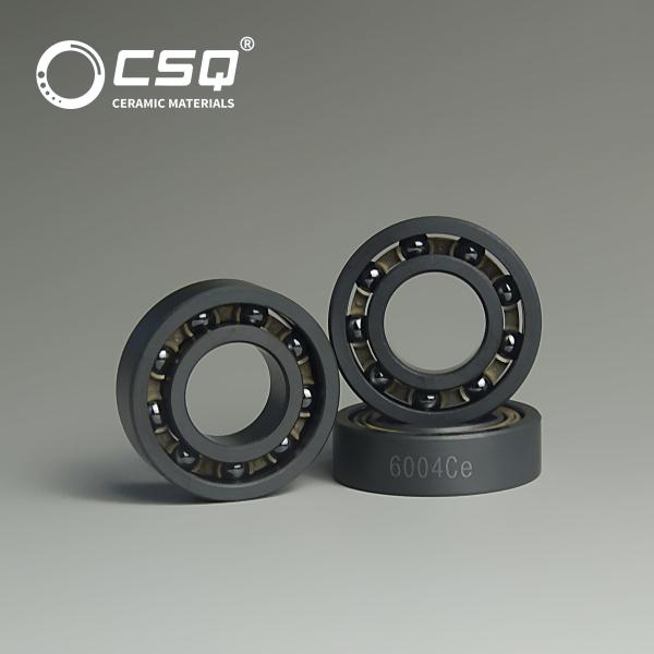 6002 6003 6005 6004 Silicon Carbide Ball Bearings 20x42x12mm