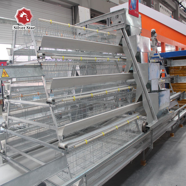 A Type Hen Laying Egg Chicken Cage Automatically