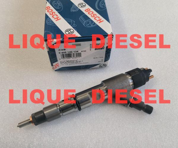 BOSCH Common Rail Injector 0445120134 0 445 120 134 5283275 4947582 0445 120 134