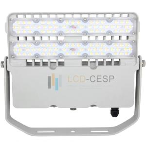 China UV Protected SMD 5050 IP66 LED Flood Light 100W 80W factory